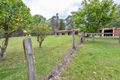 Property photo of 38 Gulph Creek Road Nerrigundah NSW 2545