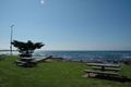 Property photo of 8 Darley Street Shellharbour NSW 2529