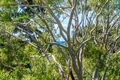 Property photo of 25 Bay Vista Lane Ewingsdale NSW 2481