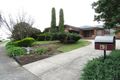 Property photo of 43 Collins Crescent Berwick VIC 3806