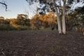 Property photo of 118 Strawberry Creek Road Windellama NSW 2580