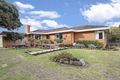 Property photo of 66 Kidman Avenue Belmont VIC 3216