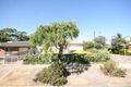 Property photo of 13 Clark Avenue Glandore SA 5037