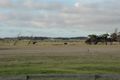 Property photo of 337 Waterhouse Road Bridport TAS 7262