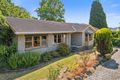 Property photo of 23 Dimora Avenue Camperdown VIC 3260
