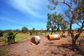 Property photo of 20 Said Bend Bilingurr WA 6725