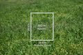 Property photo of 4 Snooks Court Brighton VIC 3186