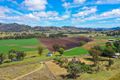 Property photo of 2661 Nundle Road Woolomin NSW 2340