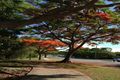Property photo of 14/299 Main Road Wellington Point QLD 4160
