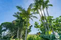 Property photo of 45 Stitt Street Mighell QLD 4860