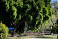 Property photo of 98 Mount Ommaney Drive Jindalee QLD 4074