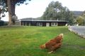 Property photo of 61 Mount Lloyd Road Mount Lloyd TAS 7140