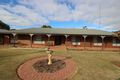 Property photo of 109 Pope Road Waikerie SA 5330