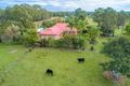 Property photo of 67 Raymonds Lane Frederickton NSW 2440