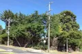 Property photo of 1530 Burwood Highway Tecoma VIC 3160