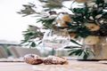 Property photo of 44 Donlan Road Mollymook Beach NSW 2539