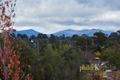 Property photo of 36 Buntine Crescent Isaacs ACT 2607