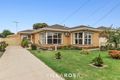 Property photo of 9 Darriwill Street Bell Post Hill VIC 3215