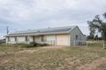 Property photo of 75 Craigs Lane Gilgandra NSW 2827