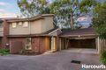 Property photo of 3/49 Carinya Road Vermont VIC 3133