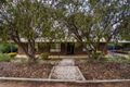 Property photo of 15 Spriggs Street Berri SA 5343