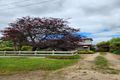 Property photo of 19 Stanley Street Wallan VIC 3756