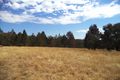Property photo of 629 Wearnes Road Bundarra NSW 2359