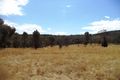 Property photo of 629 Wearnes Road Bundarra NSW 2359