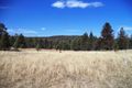 Property photo of 629 Wearnes Road Bundarra NSW 2359