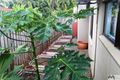 Property photo of 2 Mistletoe Close Kamerunga QLD 4870