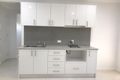 Property photo of 15 Elizabeth McRae Avenue Minto NSW 2566