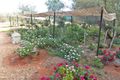Property photo of 239 Greatorex Road Ilparpa NT 0873