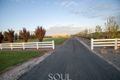 Property photo of 237 Sidlow Road Griffith NSW 2680