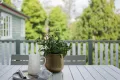 Property photo of 69 Hamlet Street Annerley QLD 4103