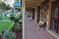 Property photo of 11 Lester Close Wattle Ponds NSW 2330