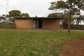 Property photo of 12 Shiell Road Berri SA 5343