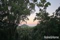 Property photo of 103 Ronald Road Forest Creek QLD 4873