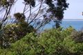 Property photo of 50 McHaffie Street Ventnor VIC 3922