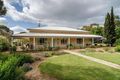 Property photo of 13 Willyaroo Road Willyaroo SA 5255