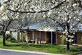 Property photo of 12 Clipper Way Estella NSW 2650