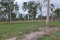 Property photo of 177 Hollywell Road Eidsvold QLD 4627