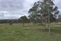 Property photo of 177 Hollywell Road Eidsvold QLD 4627