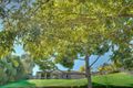 Property photo of 15 Holyn Close Woombye QLD 4559