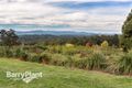 Property photo of 175 Macclesfield Road Monbulk VIC 3793