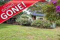 Property photo of 142 Cecil Street Nimbin NSW 2480