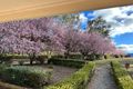 Property photo of 46 Carroll Drive Hartley NSW 2790