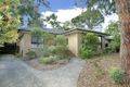 Property photo of 47 Jeffrey Drive Ringwood VIC 3134