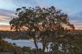 Property photo of 11 Mulgowrie Crescent Balgowlah Heights NSW 2093
