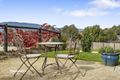 Property photo of 8 Dorgan Court Cygnet TAS 7112