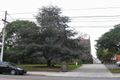Property photo of 292-296 Glenferrie Road Malvern VIC 3144